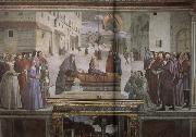 Domenicho Ghirlandaio Erweckung eines Knaben oil painting